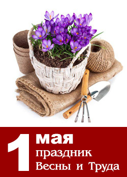 Поздравляем с праздником Весны и Труда!